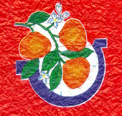 oranges de sicile